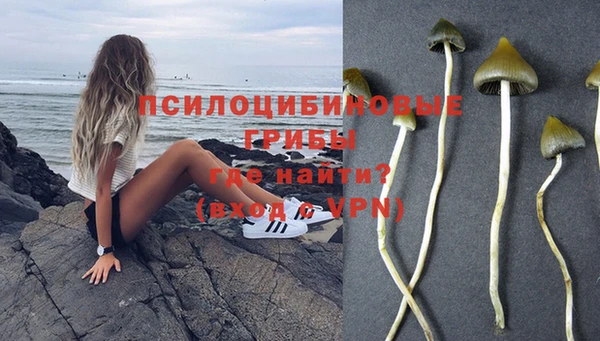 дмт Балахна