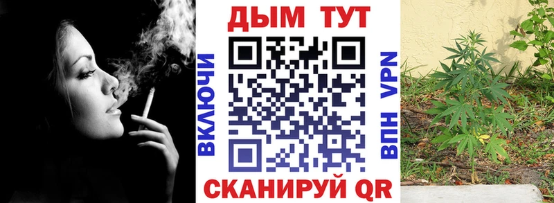 Конопля Ganja  Свирск 